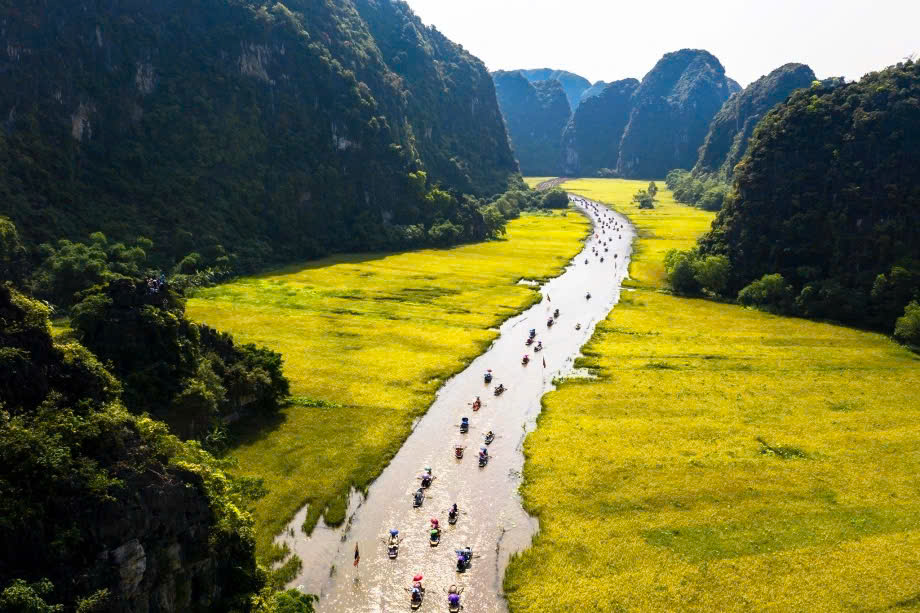 Đường đi vào Tam Cốc mùa lúa chín (Cuối tháng 5, 6) Đường đi vào Tam Cốc mùa lúa chín (Cuối tháng 5, 6)